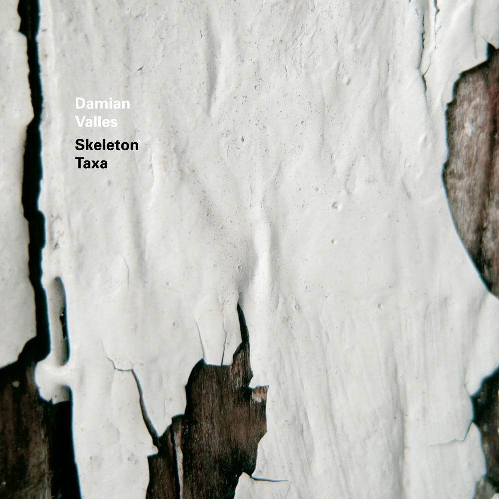 Damian Valles - Skeleton Taxa - August 30, 2011