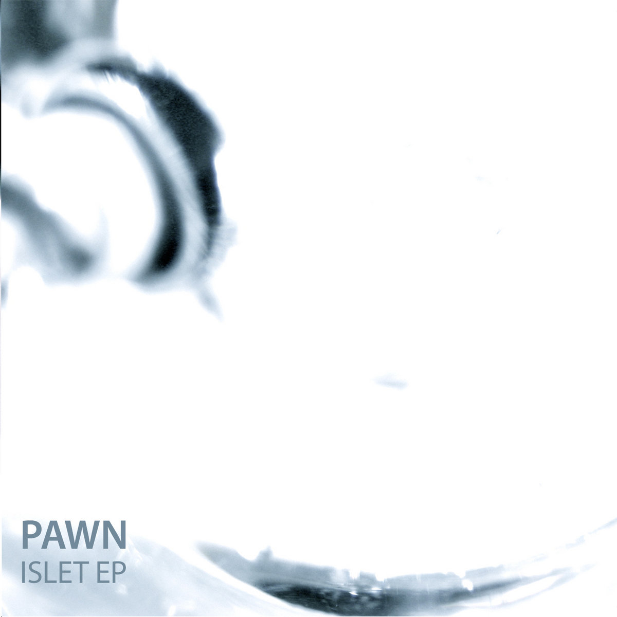 Pawn (Hideki Umezawa) - Islet - April 25, 2011